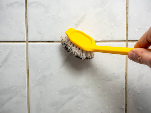 Best Mold Damage Repair  in Trinity, TX