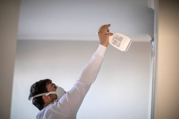 Best Home Mold Removal  in Trinity, TX