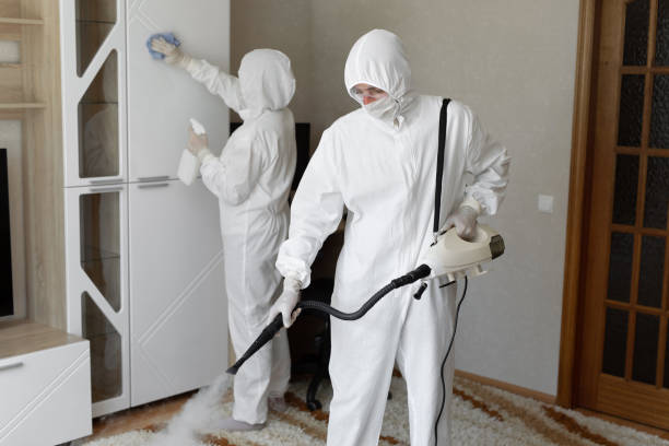 Best Residential Mold Removal  in Trinity, TX