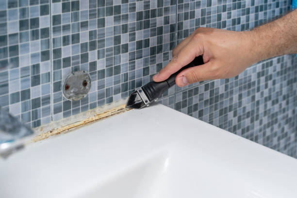 Best Affordable Mold Removal  in Trinity, TX